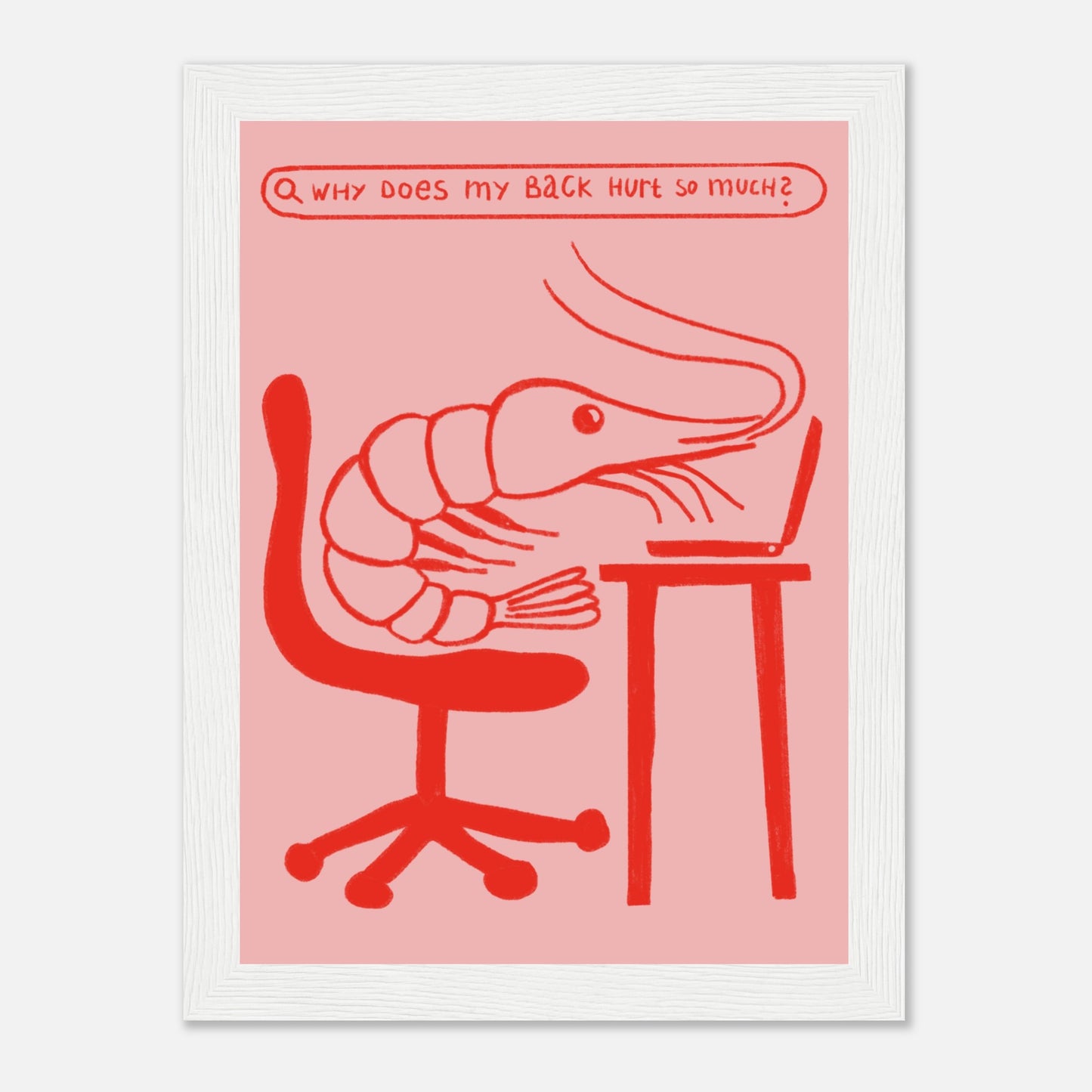 Cute Shrimp