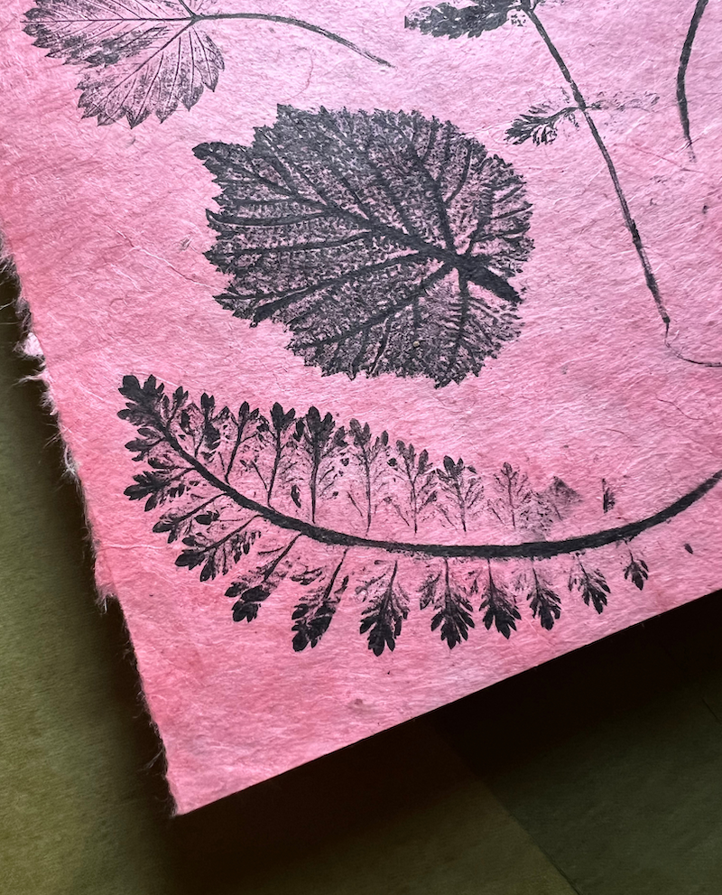 pflanzen — druckgrafik