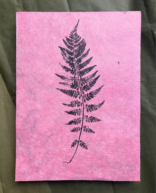 farn — druckgrafik