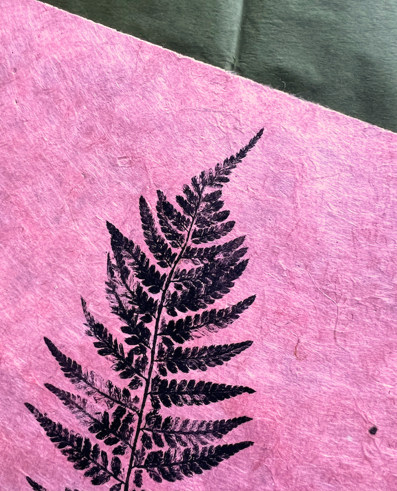 farn — druckgrafik