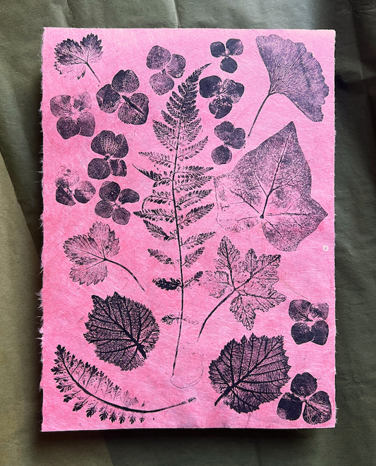 pflanzen — druckgrafik